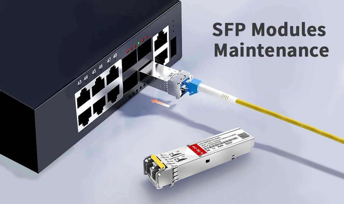 Essential Tips for SFP Module Maintenance