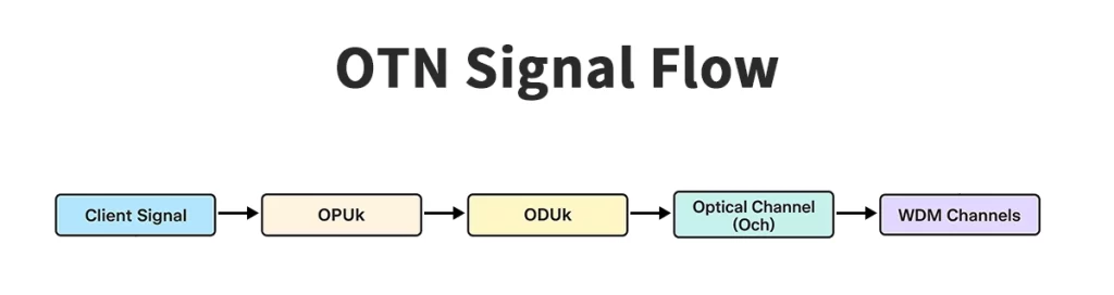 OTN Signal Flow