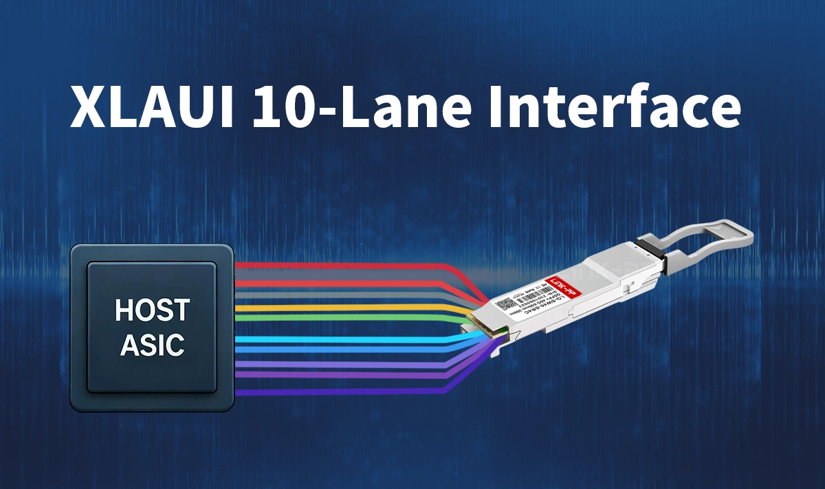 What Is XLAUI? (40G Attachment Unit Interface)
