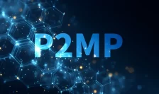 Point-to-Multipoint (P2MP) Optical Network Architecture