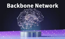 What is Backbone Network?